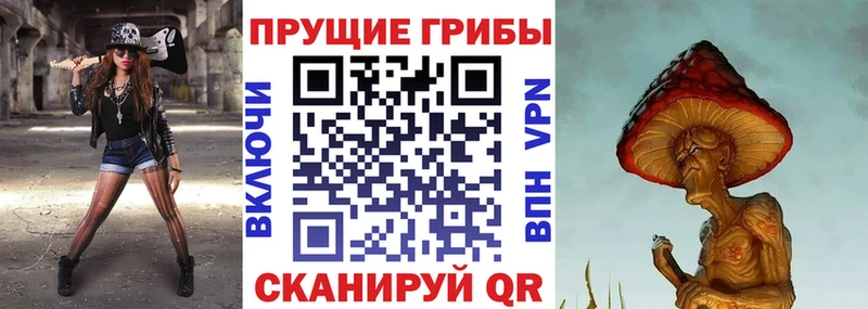 Псилоцибиновые грибы Psilocybe  даркнет сайт  Сураж 