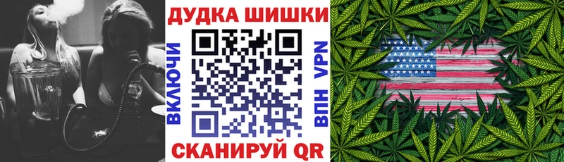 Бошки Шишки сатива  Сураж 